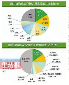 我市網(wǎng)絡安全態(tài)勢平穩(wěn)，網(wǎng)絡與信息安全軟件筑牢防線